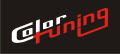 COLOR TUNING SRL