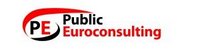 PUBLIC EUROCONSULTING SRL