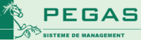 Sisteme de Management PEGAS