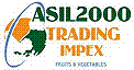 SC ASIL2000 TRADING IMPEX SRL