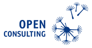 SC OPEN CONSULTING SRL