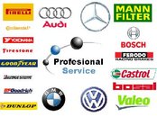 PROFESIONAL SERVICE SRL