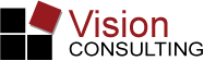 vision consulting