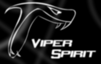 Viper Spirit SRL