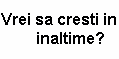 Amr Mio SRL