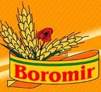 S.C. Boromir Ind SRL Sucursala Deva
