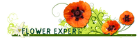 FLOWER EXPERT