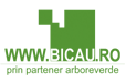 ARBORE VERDE SRL