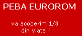 PEBA EUROROM SRL