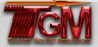 succes tgm