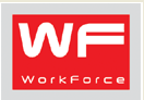 SC WORK FORCE SRL