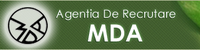 mda working in progress