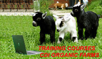 CDI Organic Farms