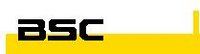 Business Software Consult