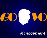 Gommers & Voiculescu Management S.R.L.
