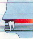 DENTA GERMANIA SRL