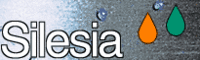Silesia Flavours Hungary kft.