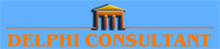 SC DELPHI CONSULTANT SRL