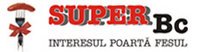 S.C. Mediaffaire S.R.L.