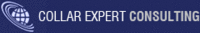COLLAR EXPERT CONSULTING