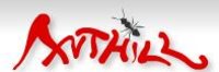 Anthill Servicii SRL