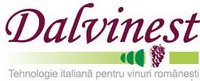 Dalvinest srl