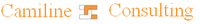 CAMILINE CONSULTING