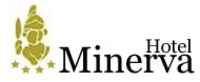 MINERVA 92 SRL 