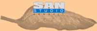 S.A.N. STUDIO CONSULT