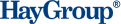 HAY GROUP MANAGEMENT CONSULTANTS SRL