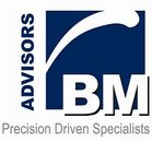 BM Advisors