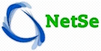 Netse Consulting