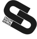 Craciun Digital Service