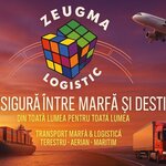 INETRNATIONAL LINES TRANSPORT