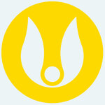 California Fitness Romania SRL